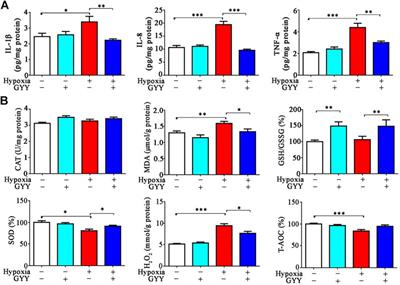 Endogenous Hydrogen Sulfide Is an Important Factor in Maintaining Arterial Oxygen Saturation